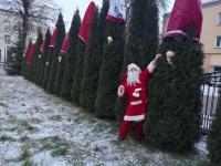 Święty Mikołaj przy drzewach przystrojonych w czapki i nosy. Na Polanie Kultury w Orzyszu.